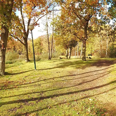 Ferienhaus Vrijstaande Vakantiebungalow Met Optimale Privacy!! Rekem